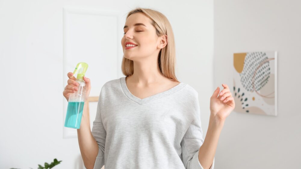 Air Fresheners - Image 3