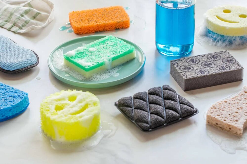 Sponges - Image 4