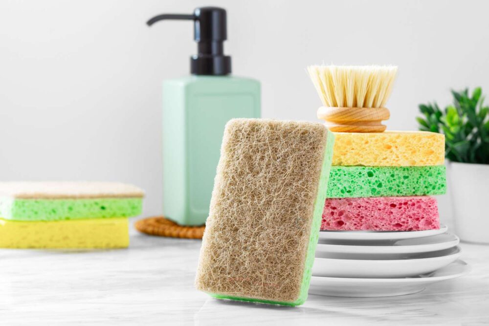 Sponges - Image 3
