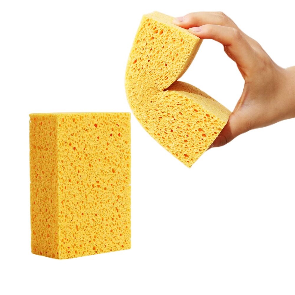 Sponges - Image 2